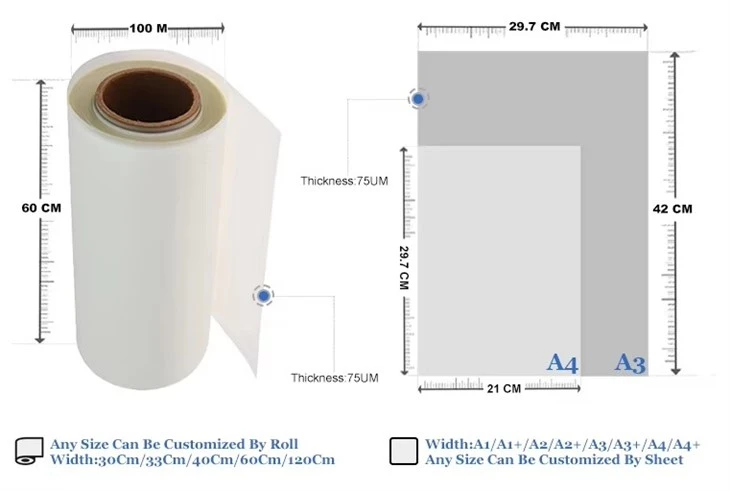 60CM Rolls PET Film Textile Heat Transfer DTF Film 60CM Rolls PET Film Textile Heat Transfer DTF Film